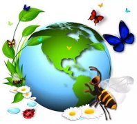 【PYP動(dòng)態(tài)】探究生物，共享地球——PYP一年級(jí)組探究活動(dòng)