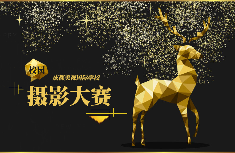 成都美視學(xué)校攝影大賽