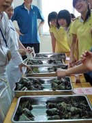 花朵弘揚傳統，香粽傳遞愛心——美視學子在傳統節日里發揚傳統美德