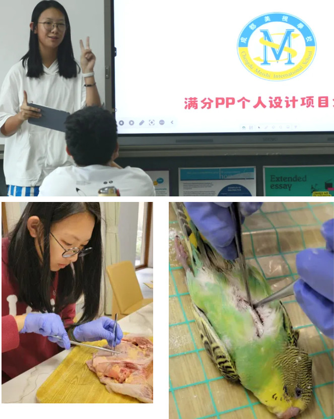 052113-1125.jpg 2025-05-21_103801.jpg