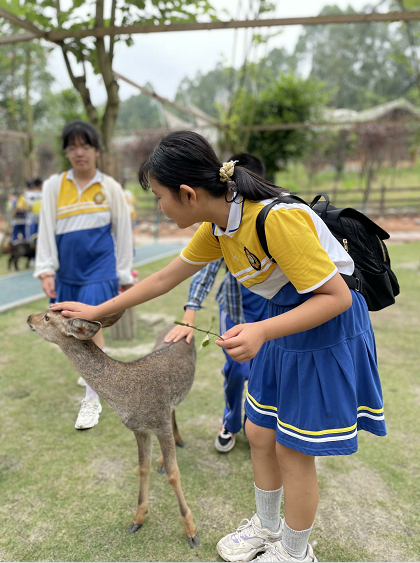 圖片